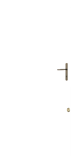 Gold handle